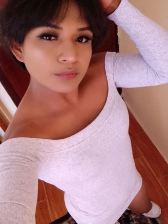 Analia pollita
