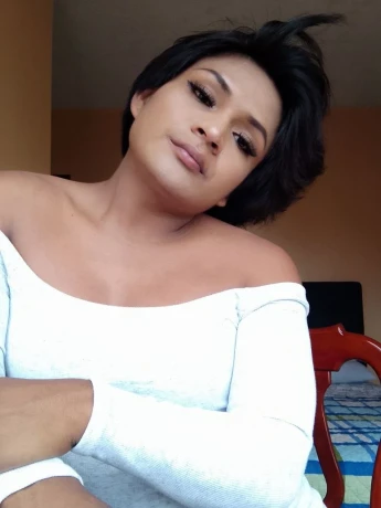 Analia pollita